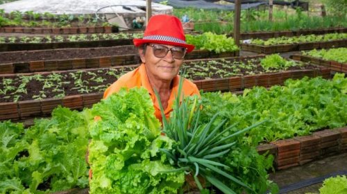 [Projeto aprovado na Alba fortalece a agricultura familiar e a produção de orgânicos na luta co...]