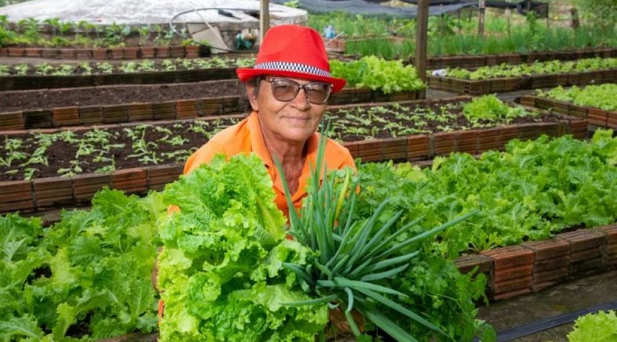 [Projeto aprovado na Alba fortalece a agricultura familiar e a produção de orgânicos na luta contra à fome na Bahia]