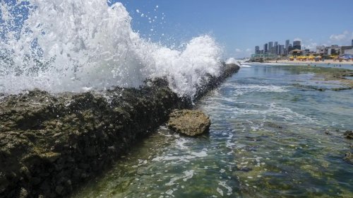 [Governo quer barrar projeto que pode privatizar acesso a praias]