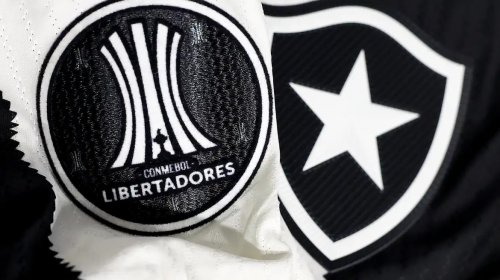 [Botafogo irá banir torcedor que cometeu racismo contra Palmeiras]