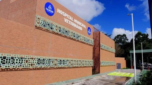 [MP-BA apura possíveis falhas no Hospital Veterinário de Salvador após denúncias]