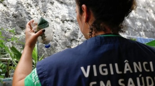 [Jovens e pessoas pardas mais vulneráveis ao vírus da dengue na Bahia]