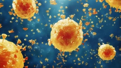 [Bahia intensifica medidas preventivas contra gripe aviária após surto no Rio Grande do Sul]