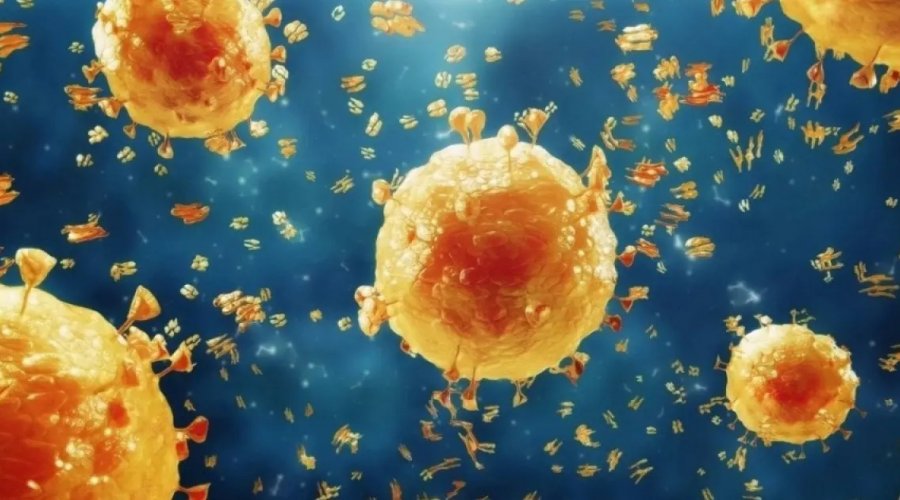 [Bahia intensifica medidas preventivas contra gripe aviária após surto no Rio Grande do Sul]