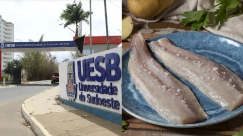 [Tilápias vendidas em feiras de Itapetinga apresentam contaminação bacteriana, alerta estudo da Uesb]