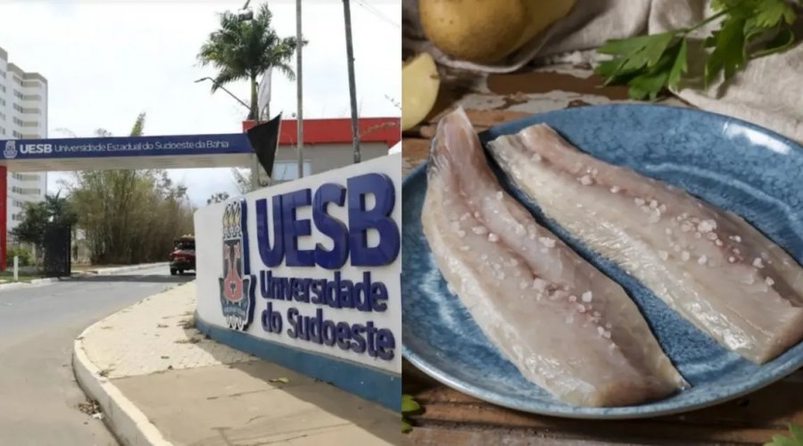 [Tilápias vendidas em feiras de Itapetinga apresentam contaminação bacteriana, alerta estudo da Uesb]