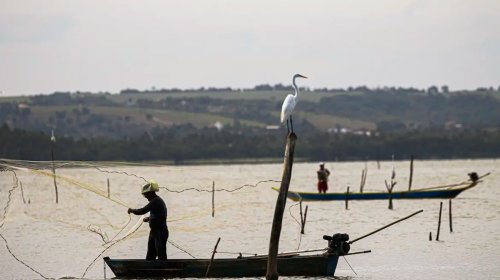 [Sexto lote do seguro-defeso será disponibilizado na terça-feira]