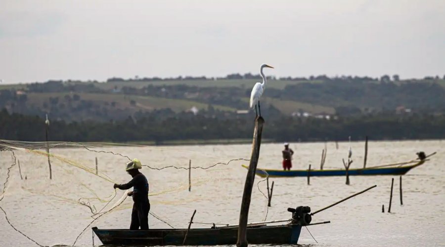 [Sexto lote do seguro-defeso será disponibilizado na terça-feira]