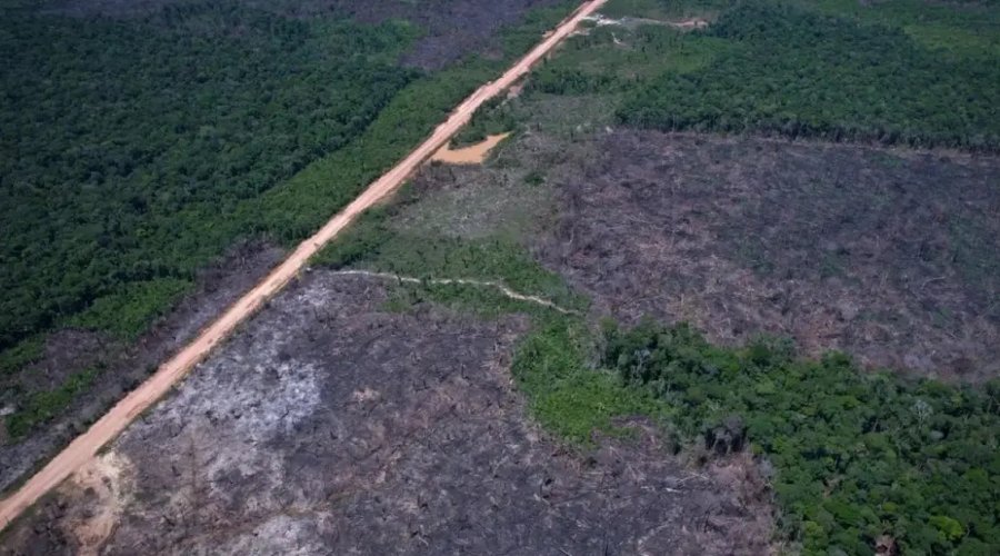 [Desmatamento na Amazônia recua 17% no início de 2026, aponta levantamento]