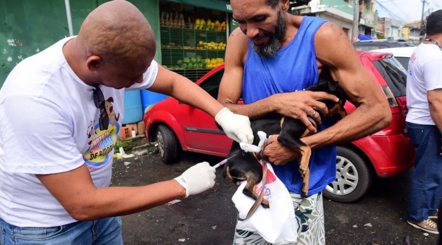 [Salvador inicia campanha de vacinação antirrábica para cães e gatos em mais de 90 pontos]