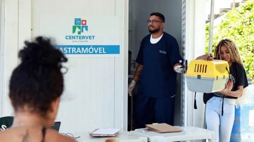 [Salvador abre credenciamento de entidades para castração de cães e gatos em situação de rua]