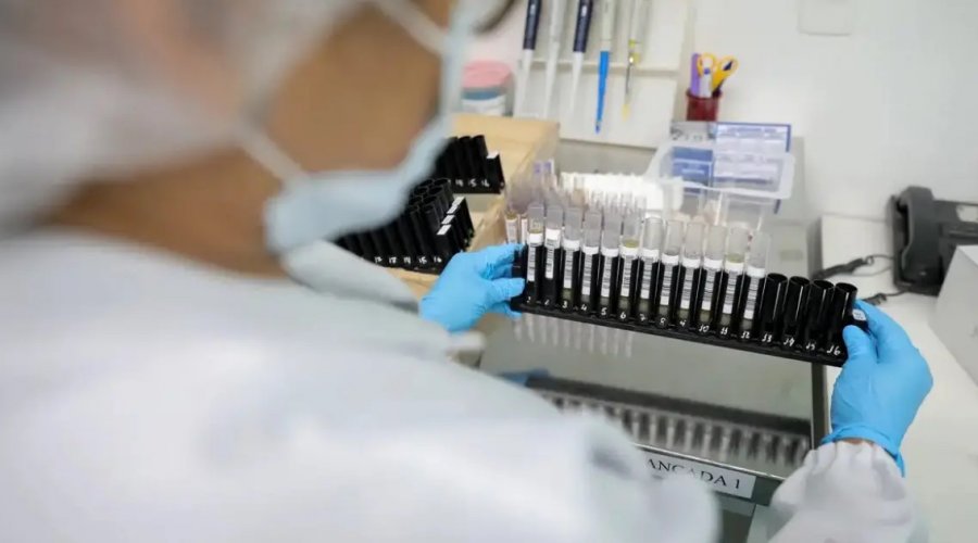 [Vacina nacional contra malária recebe autorização para primeira etapa de testes em humanos]