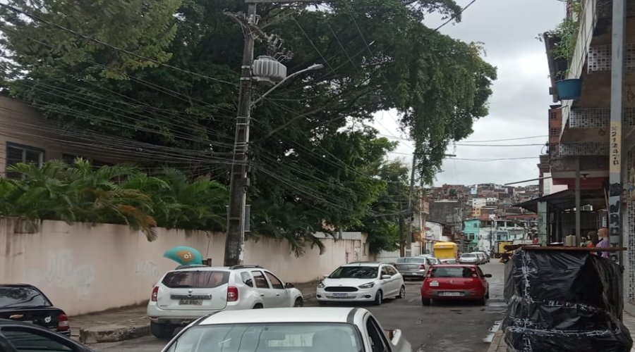 [Denúncia: Árvore de grande porte ameaça fios de alta tensão em Escola Municipal de Pernambués; veja vídeo]